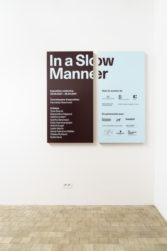 In a slow manner. Photo F. Kleinefenn