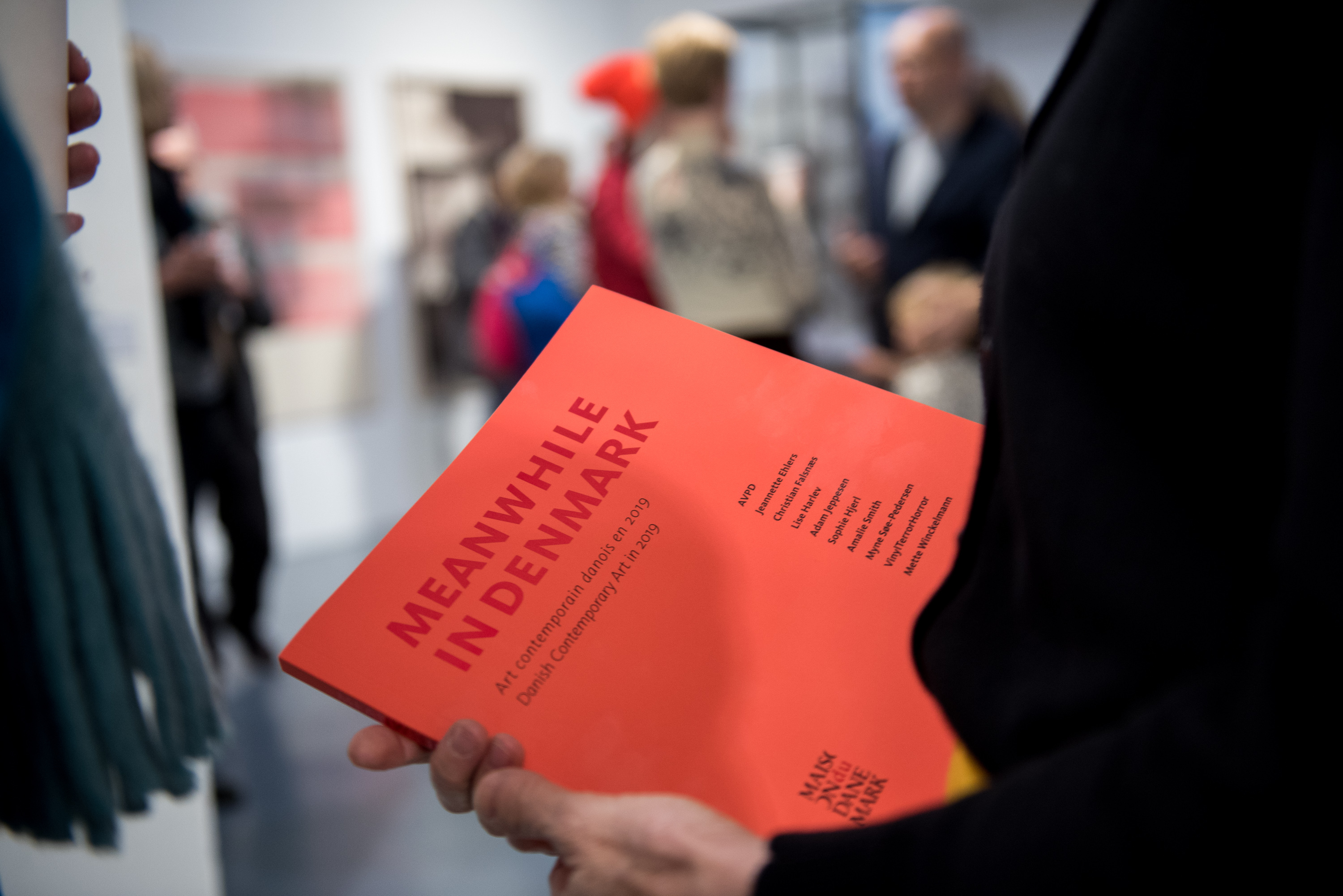 Catalogue de l'exposition Meanwhile in Denmark